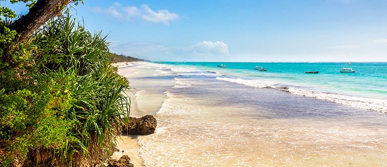 What to see in Kenya Diani