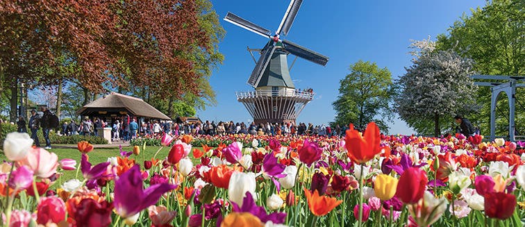 What to see in Holland Lisse